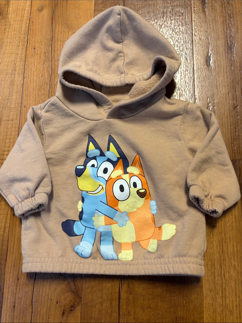 Bluey And Bingo Hooded Pullover Sweatshirt  Size 0-3 Months